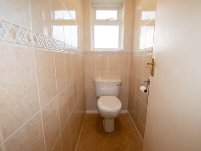 Picture 12